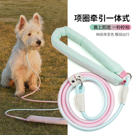 狗狗牵引绳p链可爱风遛狗绳粉色渐变高颜值它愿平替泡泡小型犬P绳