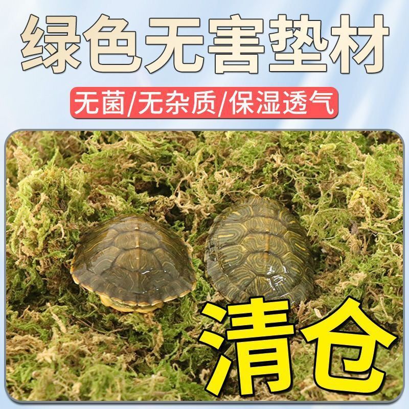 干苔藓水苔蝴蝶兰多肉营养土