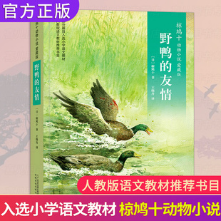 野鸭的友情 四年级上册课外书必读 椋鸠十动物小说爱藏本8-9-10岁小学生课外阅读书籍 日本作家书籍畅销书 儿童童话故事书读