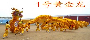 龙灯 舞龙灯 舞龙舞狮道具 特大号龙头龙身直径50公分烫金龙 舞