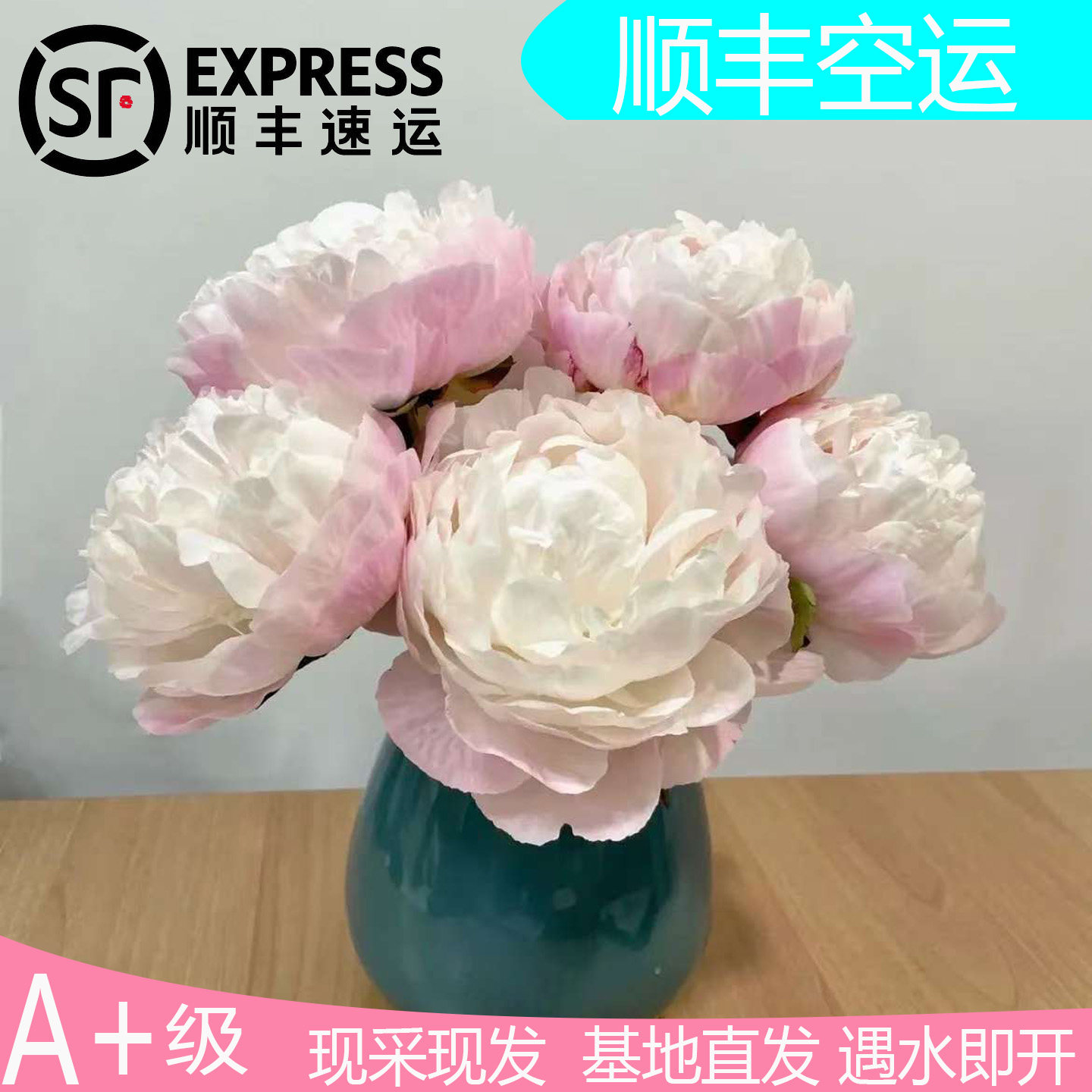 进口品种重瓣室内花卉图片