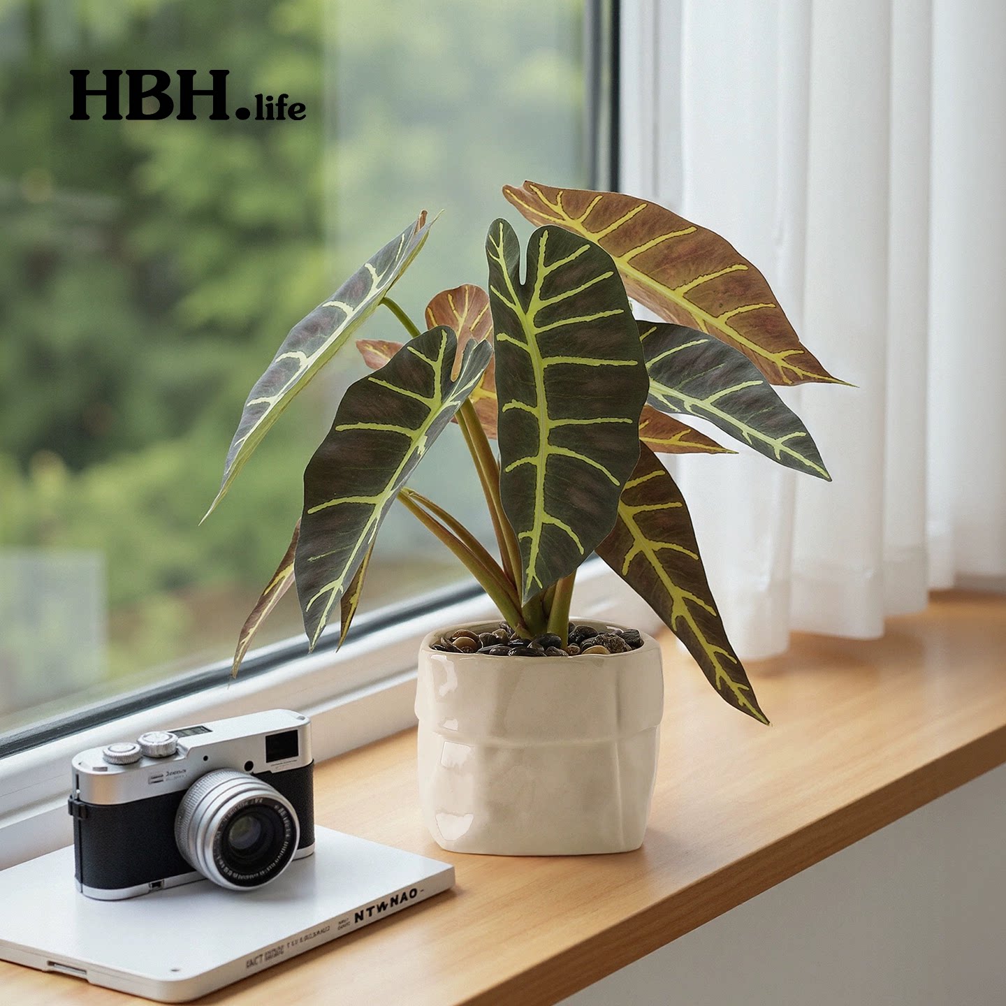 仿真海芋仿真盆裁办公室客厅桌面装饰品室内盆景摆件仿生假花绿植