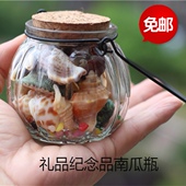 儿童收藏礼品纪念品鱼缸装 天然海螺贝壳礼盒套装 饰摆件珊瑚 包邮