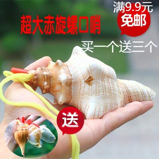 包邮天然海贝工艺品海螺号角贝壳口哨响螺羊角号赤旋螺礼品纪念品