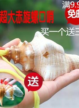 包邮海螺天然口哨工艺品