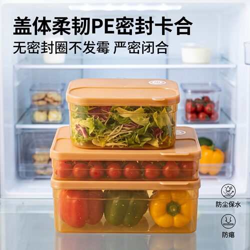 蔬果保鲜盒抗菌银离子PP盒身PE柔韧盖高透可视冰箱分类存放防尘