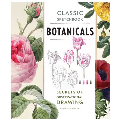 植物学观察绘画的秘密