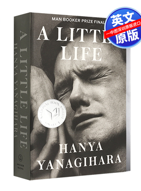 英文原版  渺小一生 A Little Life 柳原汉雅 Hanya Yanagihara 布克奖 英文版进口书籍