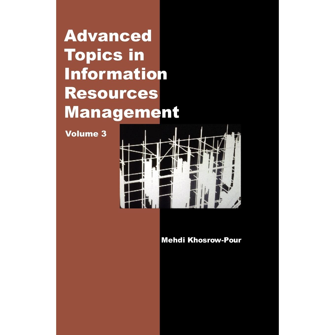 【预售 按需印刷】英文原版信息资源管理高级话题第三卷Advanced Topics in Information Resources Management Volume 3原装进口