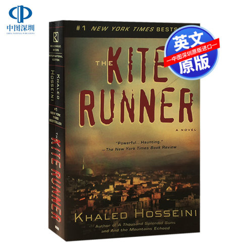 追风筝的人经典名著小说