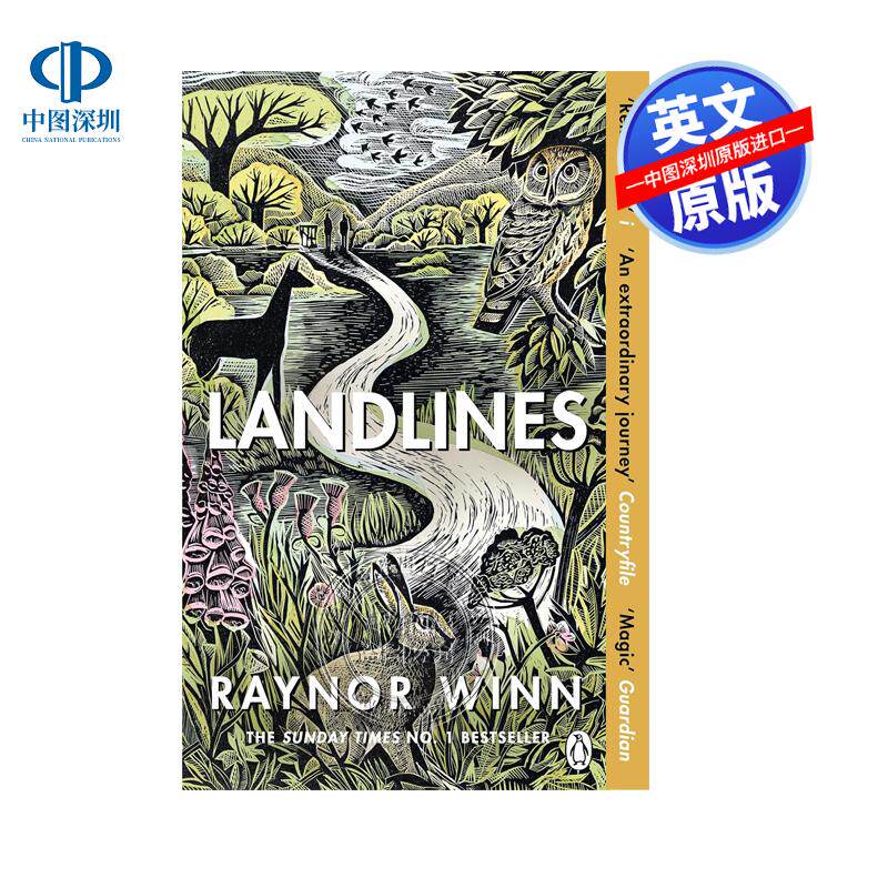英文原版 固定电话 Landlines