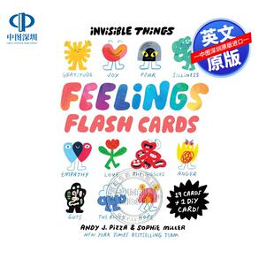 现货英文原版 看不见的东西感受闪卡 Invisible Things Feelings Flash Cards 儿童情绪感受互动卡片