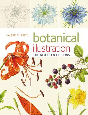 英文原版 植物插图10个课程：色彩和构图 技巧设计指南艺术书 Botanical Illustration The Next Ten : Colour and Composition