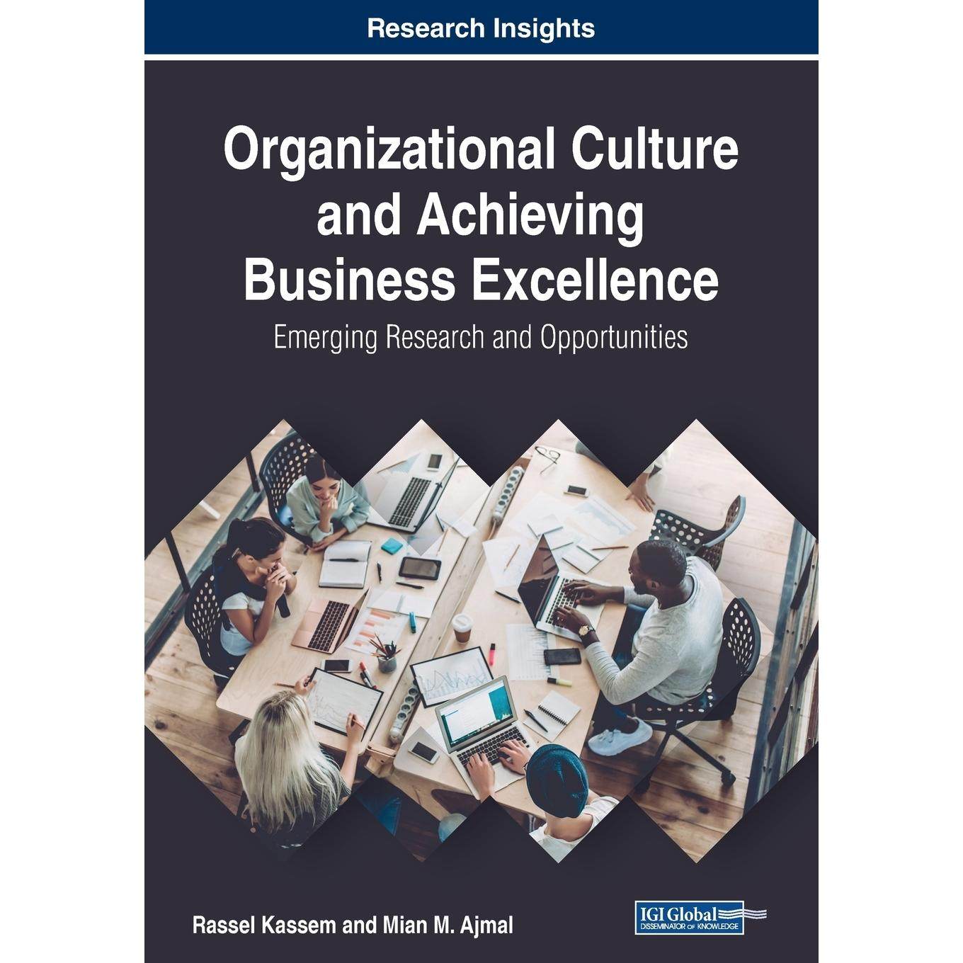 【预售 按需印刷】英文原版组织文化与实现商业卓越Organizational Culture and Achieving Business Excellence原装进口正版书籍