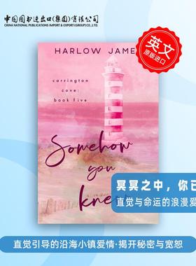 【预售 按需印刷】冥冥之中，你已知晓Somehow You Knew进口英文正版书籍