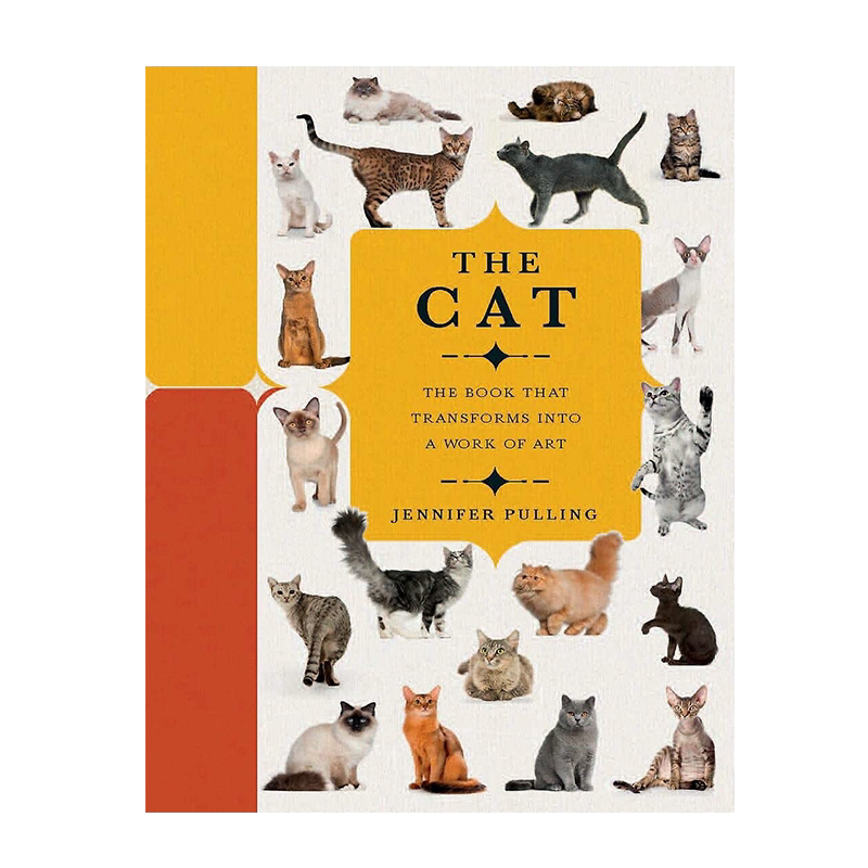 纸景猫一本转变成艺术作品的书
