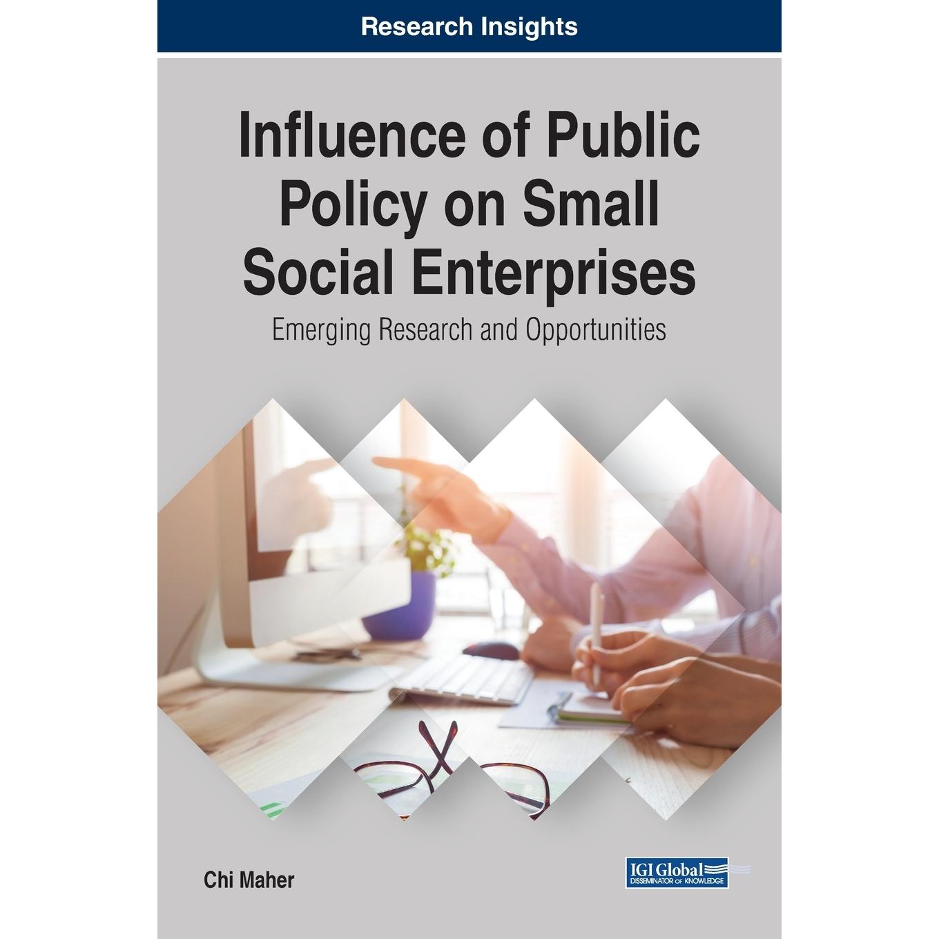 【预售 按需印刷】英文原版公共政策对小型社会企业的影响Influence of Public Policy on Small Social Enterprises原装进口正版