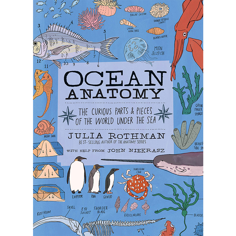 英文原版 海洋解剖学 Ocean Anatomy 自然 Julia Rothman 科普读物 鱼类、鲨鱼、海藻、珊瑚礁、海豹 进口正版书籍