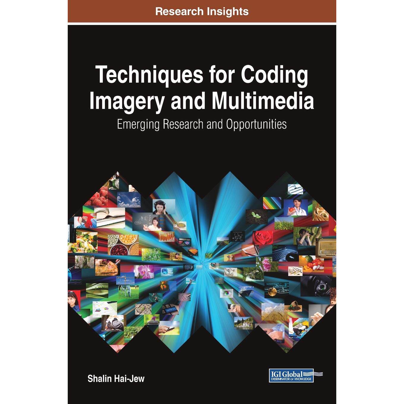 【预售 按需印刷】英文原版图像和多媒体编码技术Techniques for Coding Imagery and Multimedia原装进口正版书籍