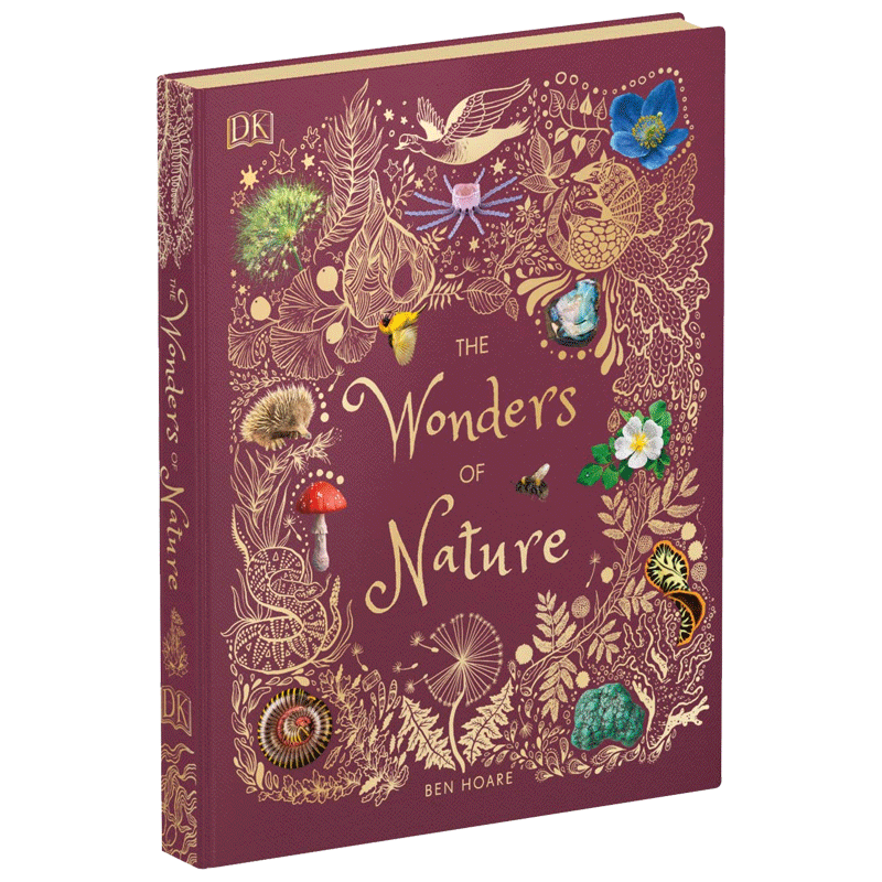 英文原版 DK系列 大自然的奇迹 The Wonders of Nature 儿童科普百科全书 自然奇观 少儿科普 精装