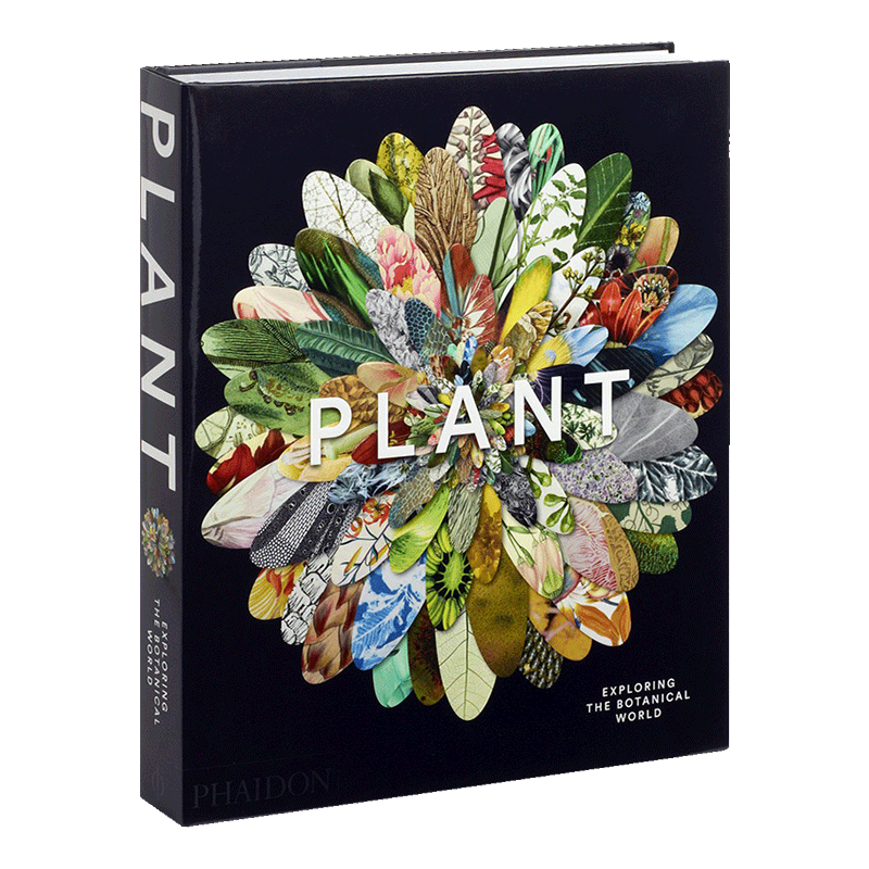 英文原版 探索植物学世界 艺术视角 园丁和艺术爱好者收藏礼物 Plant: Exploring the Botanical World 精装书 300幅植物摄影照片