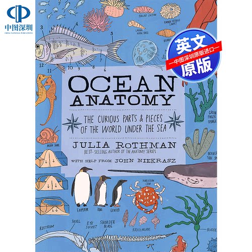预售英文原版 海洋解剖学 Ocean Anatomy 自然 Julia Rothman 科普读物 鱼类、鲨鱼、海藻、珊瑚礁、海豹 进口正版书籍