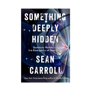 英文原版 深藏之物:量子世界和时空的出现 Sean Carroll 物理学科学 Something Deeply Hidden: Quantum Worlds Spacetime