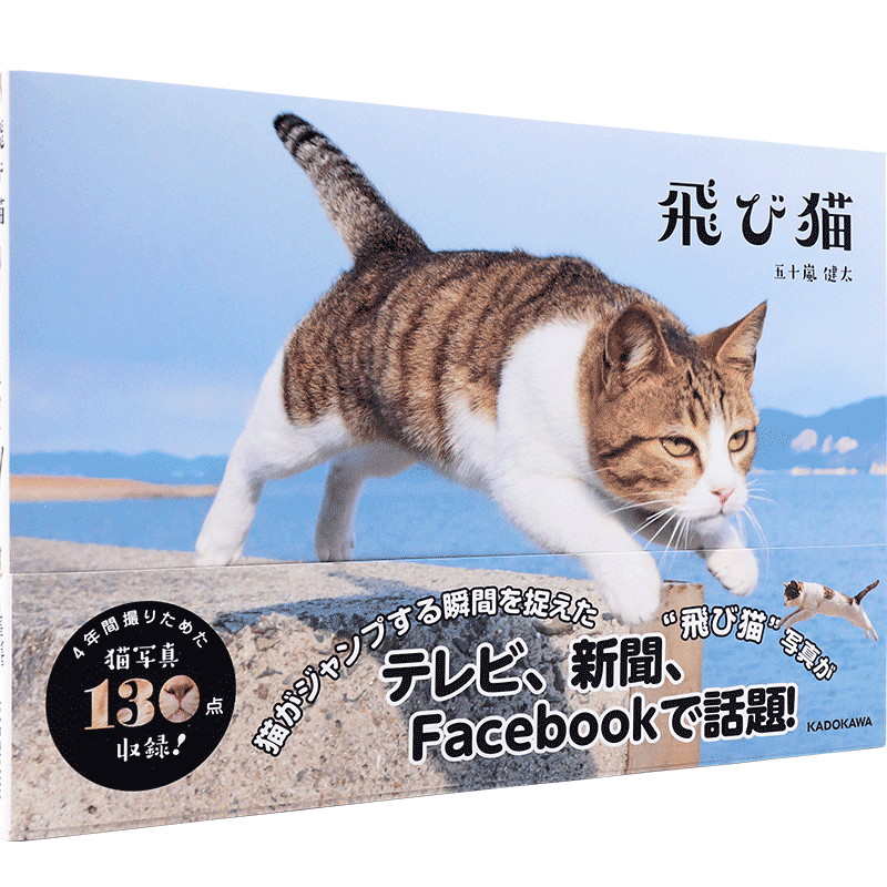 现货 【深图日文】飛び猫 飞猫 猫咪写真 五十嵐健太 KADOKAWA