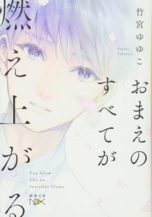 すべてが燃え上がる 你 著 深图日文 新潮社 ゆゆこ おまえ 竹宮 现货 一切都令我着迷