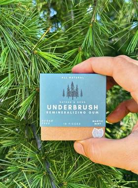 Organic MASTIC MINT miracle remineralizing chewing gum口香糖