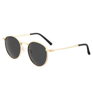 倪妮同款墨镜女叶流西高级感2025新款偏光太阳镜防紫外线西出玉门