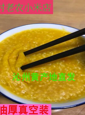 包邮2025年山西新沁州黄小米