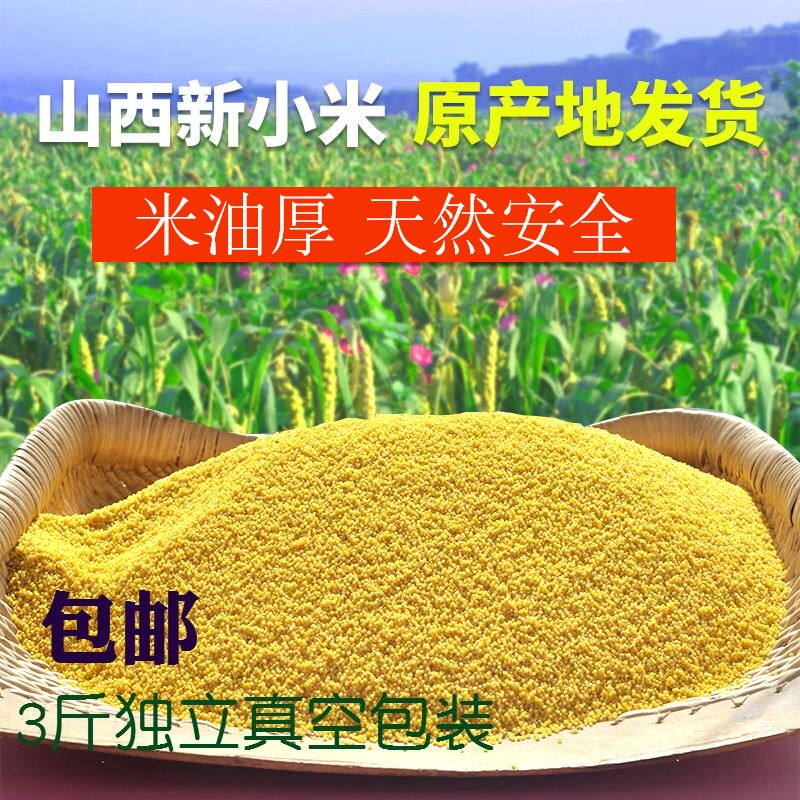 包邮真空3斤装2025年沁州黄小米