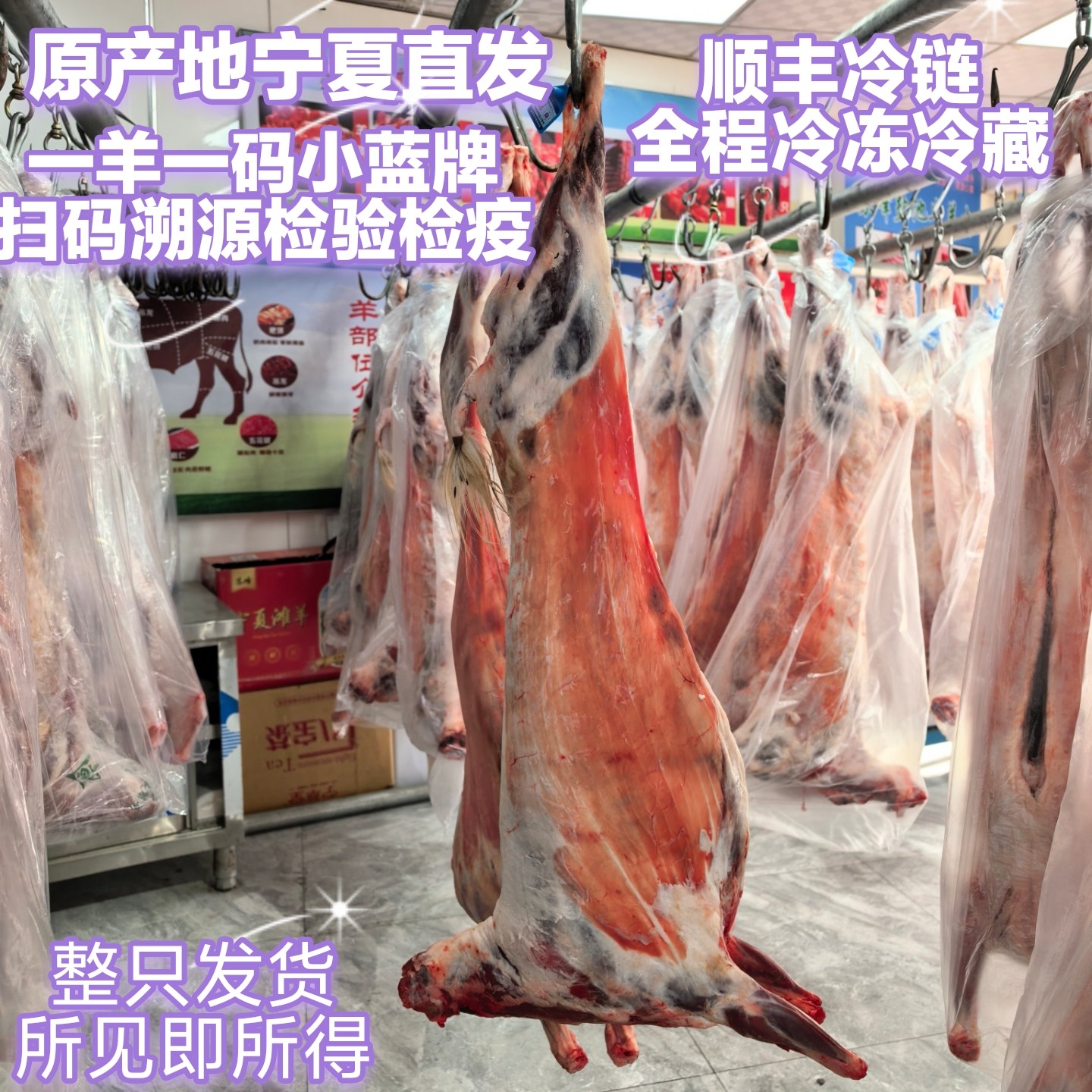 宁夏山羊肉整只滩羊20斤全羊白生羊肉