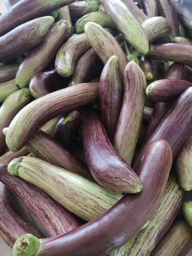 茄子花刀切法质量怎么样 茄子花刀切法口碑怎么样 小麦优选