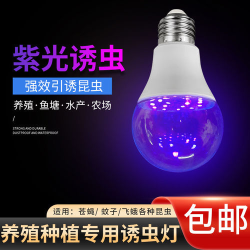 LED紫光诱引虫灯泡户外养蛙鱼塘养殖水产逮捕虫大螺口灯泡
