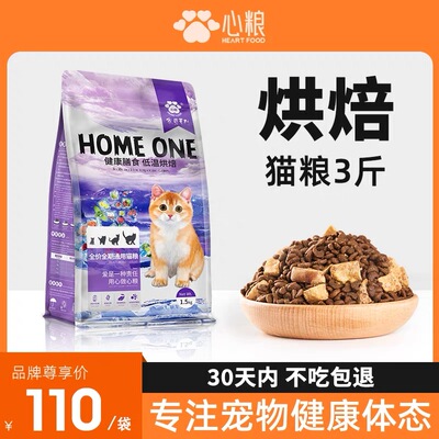 天然美短布偶全期心粮家员发腮