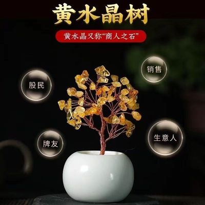 东海水晶许愿树发财树