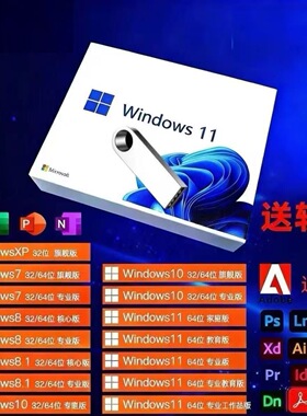 快速系统安装U盘win7 win10 win11纯净系统放心用