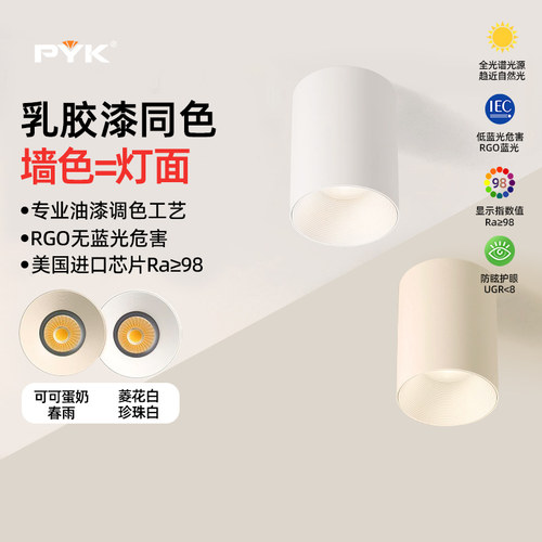 小红书推荐】明装筒射灯可可蛋奶