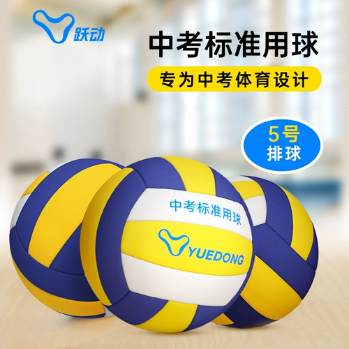 跃动 № 5 старшеклассника старших классов средней школы Стандартный экзамен