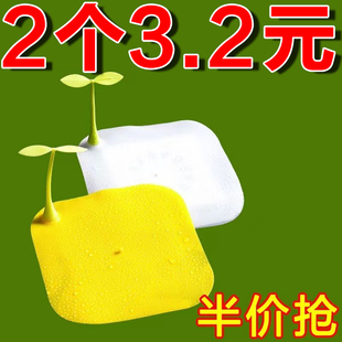 地漏防臭器硅胶垫厕所反味除臭密封盖堵口卫生间下水道防返臭神器