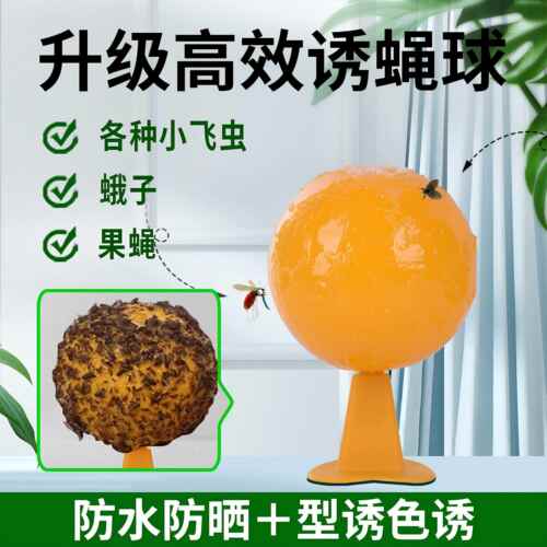 果蝇诱捕器小飞虫灭杀神