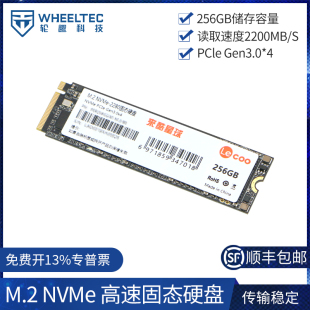 M.2高速SSD固态硬盘NVMe传输储存256GB容量兼容Jetson Nano Orin