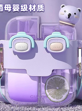 儿童吸管水杯夏日学生上学专用水壶女生新款2026高颜值大容量杯子