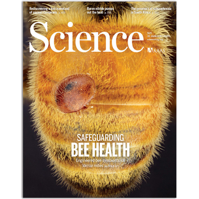 【单期可选】Science 科学杂志 2020年 美国原版周刊自然科学科普杂志英语外刊杂志环球科学杂志英文书刊,书籍/杂志/报纸,期刊杂志,淘宝优惠券,粉丝福利购,淘宝优惠卷