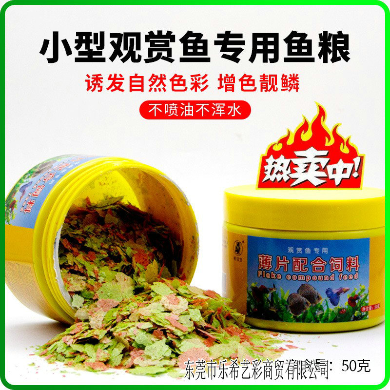 料热带鱼红绿灯斗鱼凤尾观赏鱼