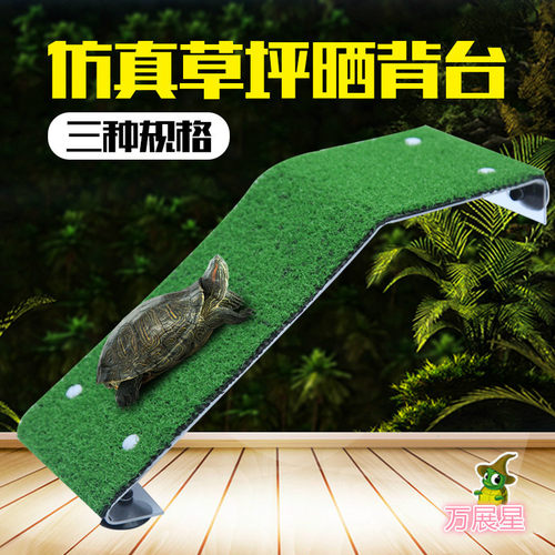 dophin建荣仿真草坪爬坡乌龟