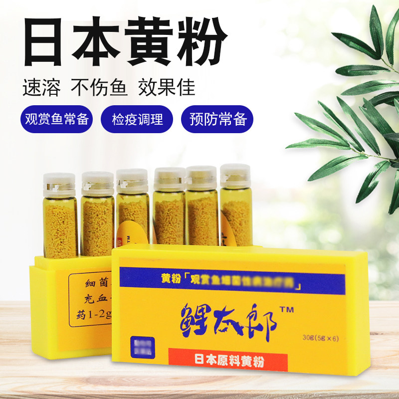 日本黄粉水族观赏鱼杀菌锦鲤烂身烂肉治疗孔雀金鱼烂尾病烂鳍正品