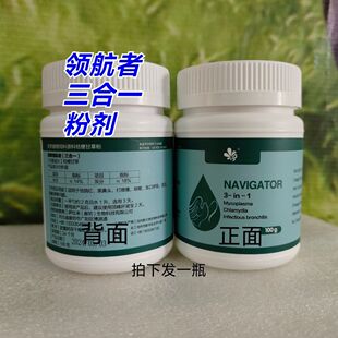 顶峰赛鸽用品领航者三合一黑鼻头呼吸道鸽子营养保健品粉剂片剂